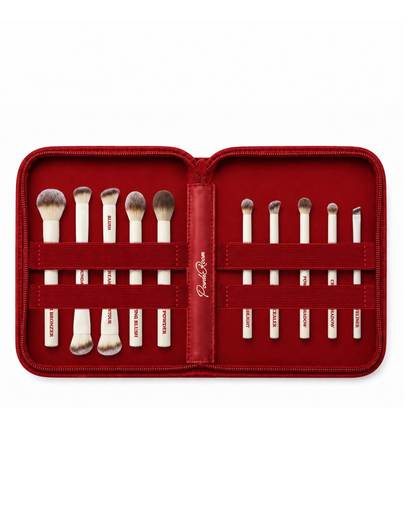 Perfect Brush Set and Brush Book Bundle